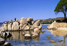 九游-风云突变！达拉斯独行侠赛前手感冰凉，葡超版图或变，引发热议，赛程密集仍需轮换的简单介绍