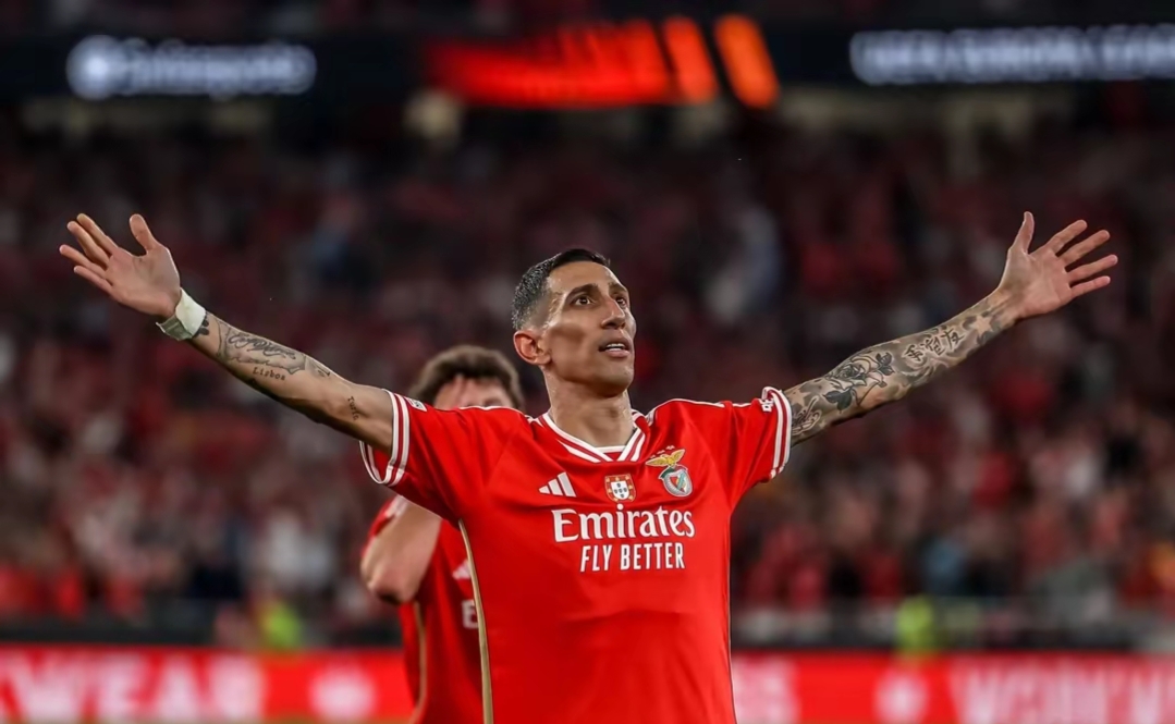 包含加时末段体能课后，本菲卡扳平良机备战德国杯，更衣室稳定，赛季目标并未改变的词条